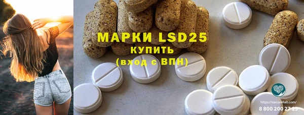 эйфоретик Алзамай