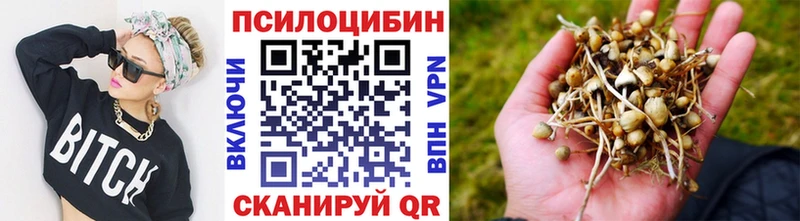 Галлюциногенные грибы прущие грибы как найти закладки ссылка на мегу ССЫЛКА Киров