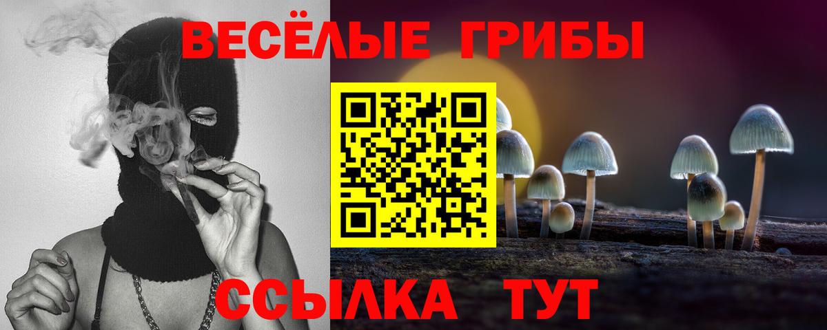 Киров  Псилоцибиновые грибы мухоморы  Вход с VPN 