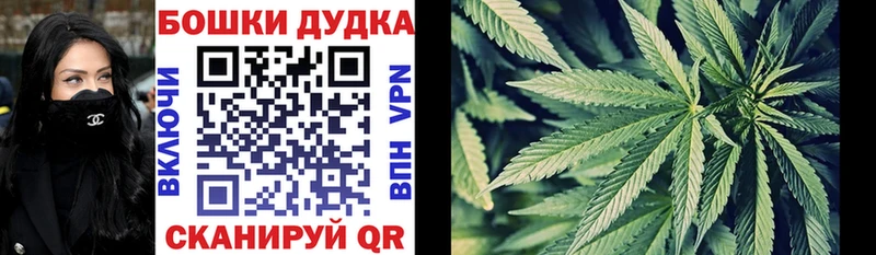 Конопля сатива  Киров 